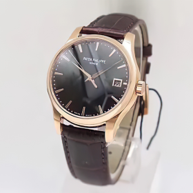 PP Calatrava Watch - wp0000464