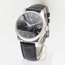 PP Calatrava Watch - wp0000461