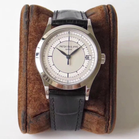 PP Calatrava Watch - wp0000416