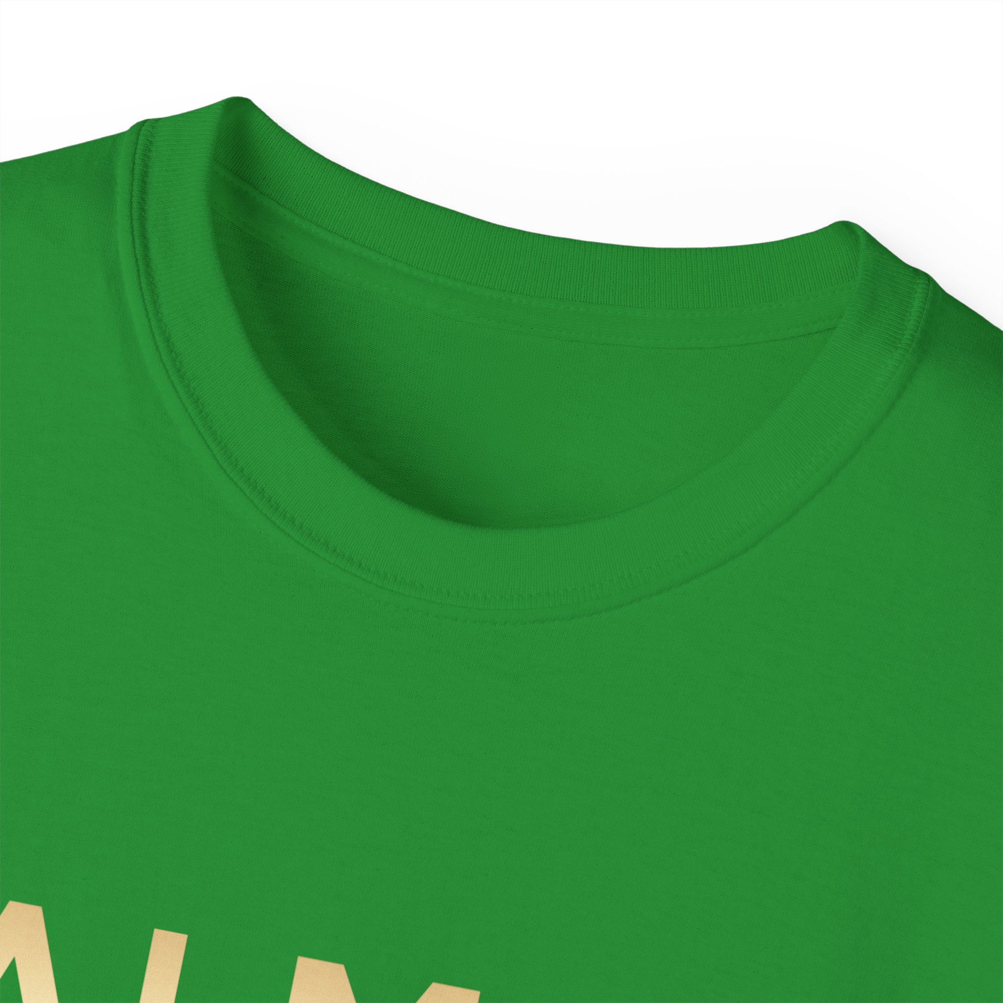 Balmain Paris T-Shirt BIG SIZE - Image 27