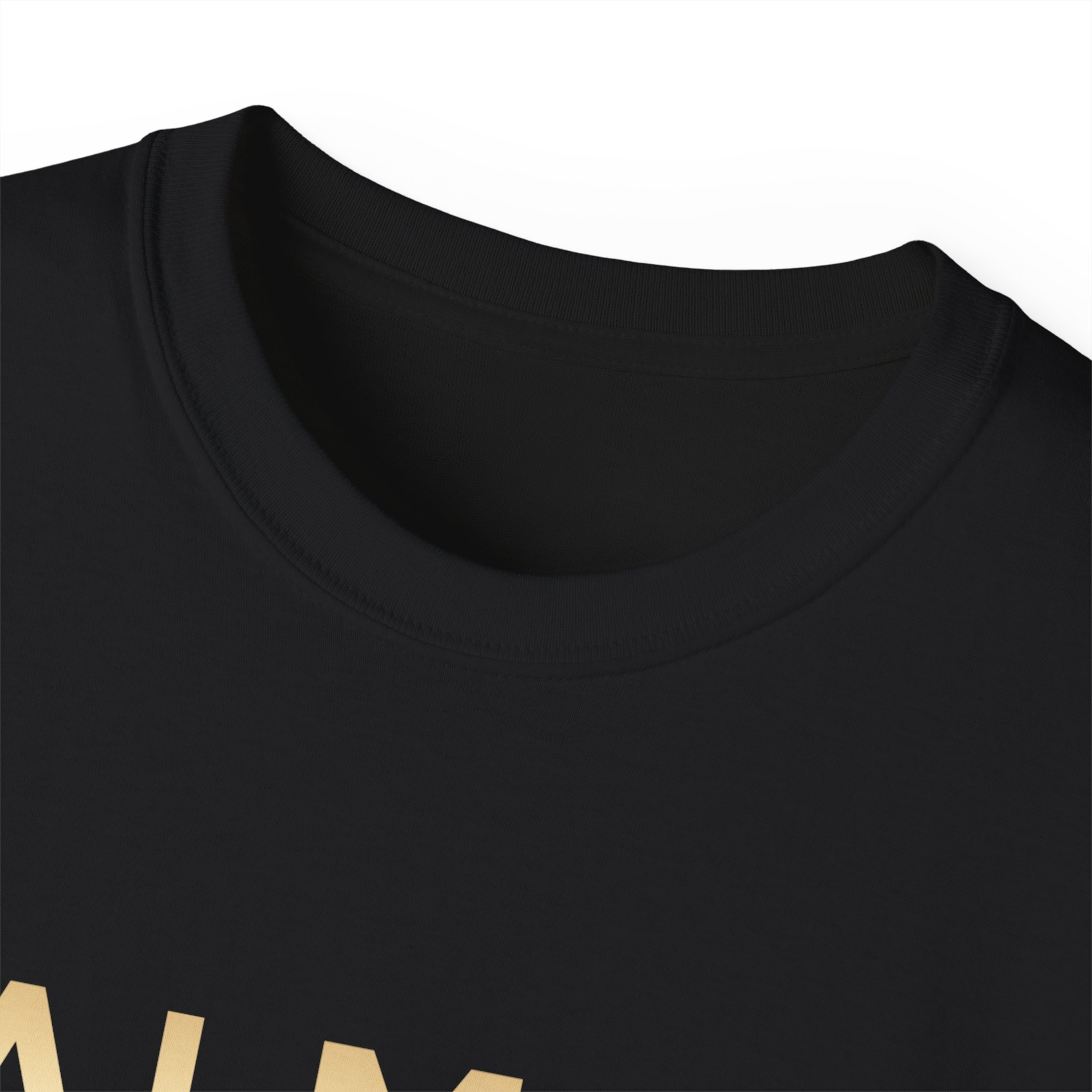 Balmain Paris T-Shirt - Image 3