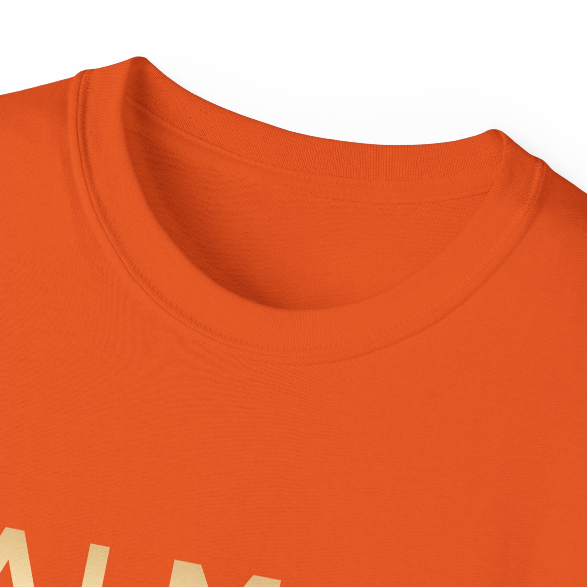 Balmain Paris T-Shirt - Image 15