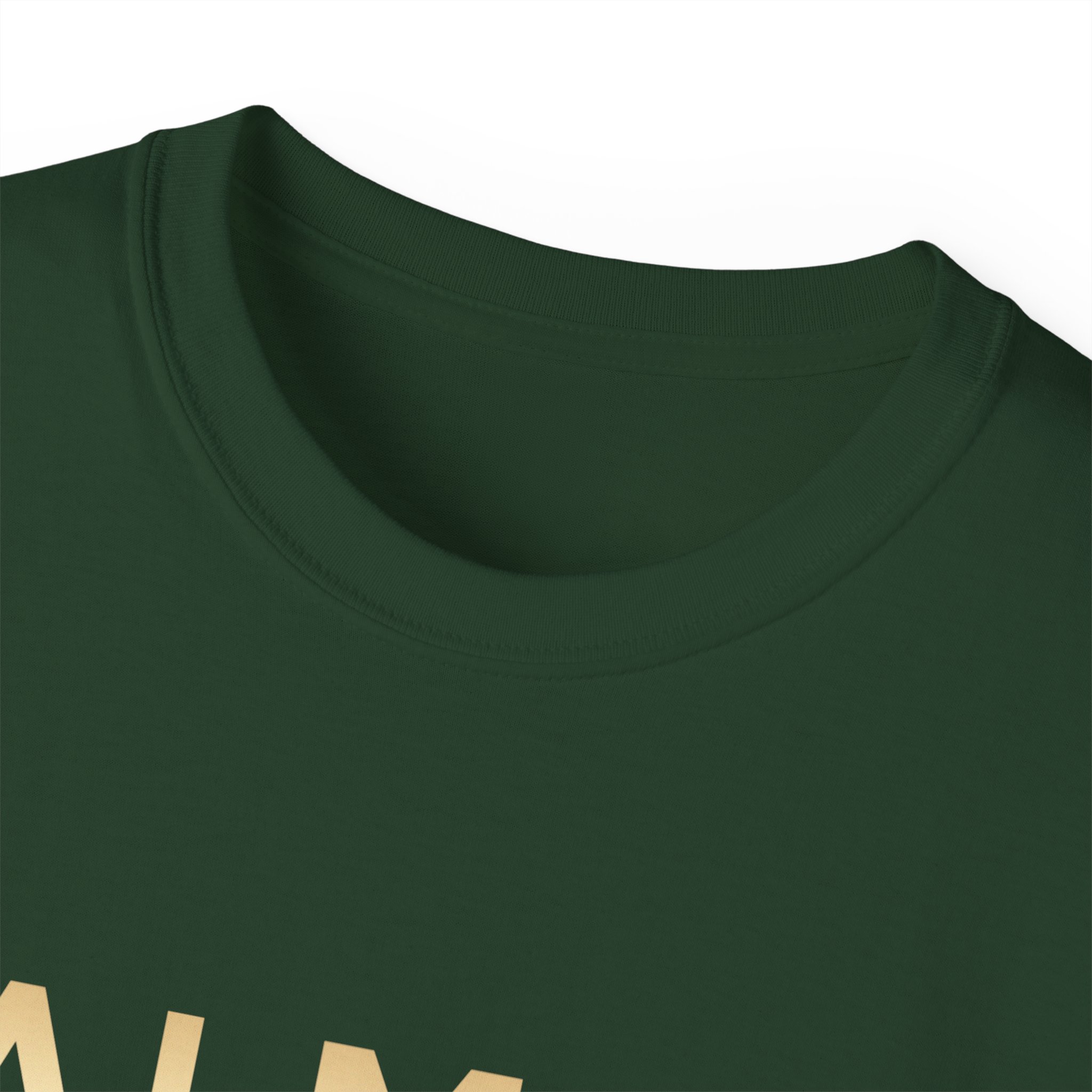 Balmain Paris T-Shirt - Image 23