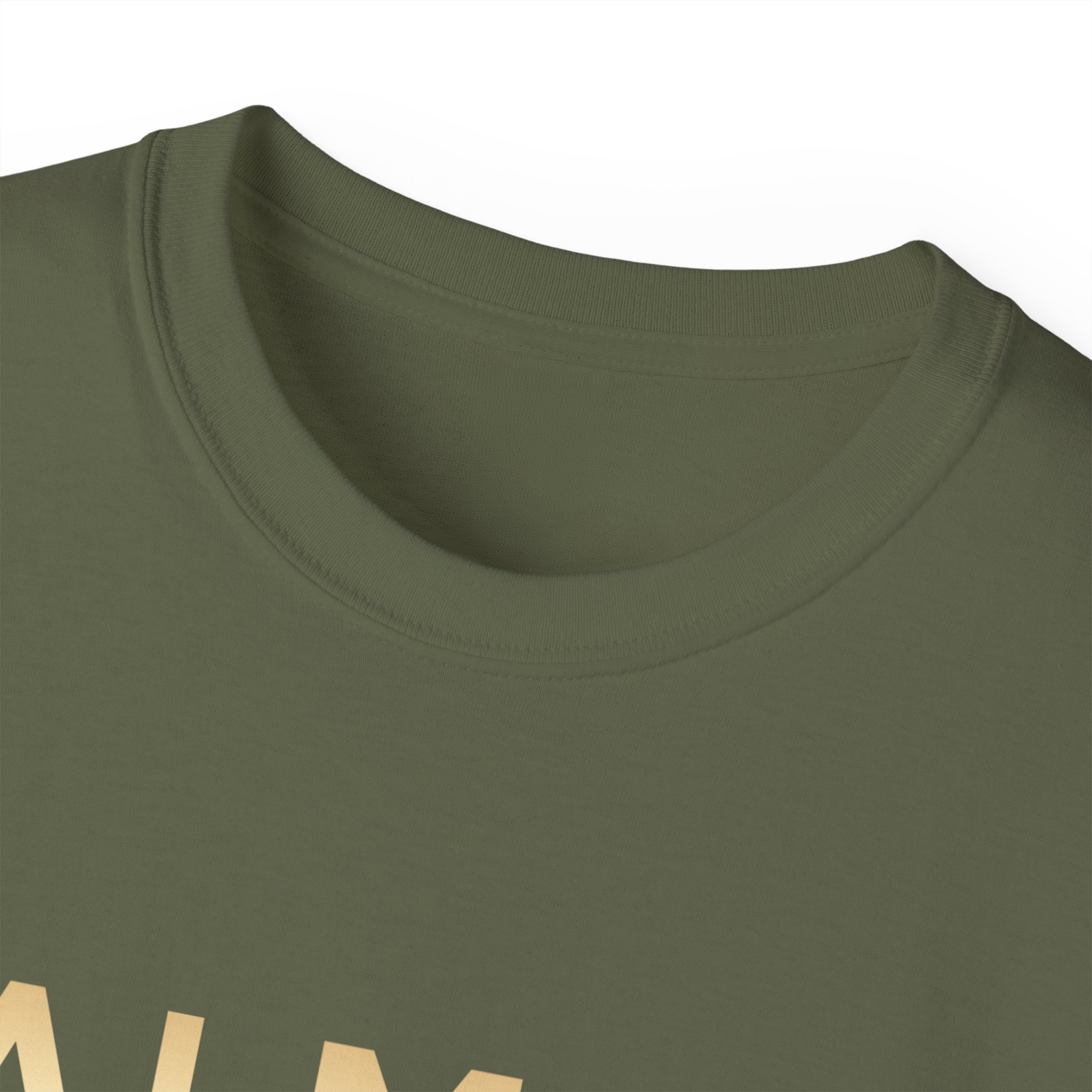 Balmain Paris T-Shirt - Image 19