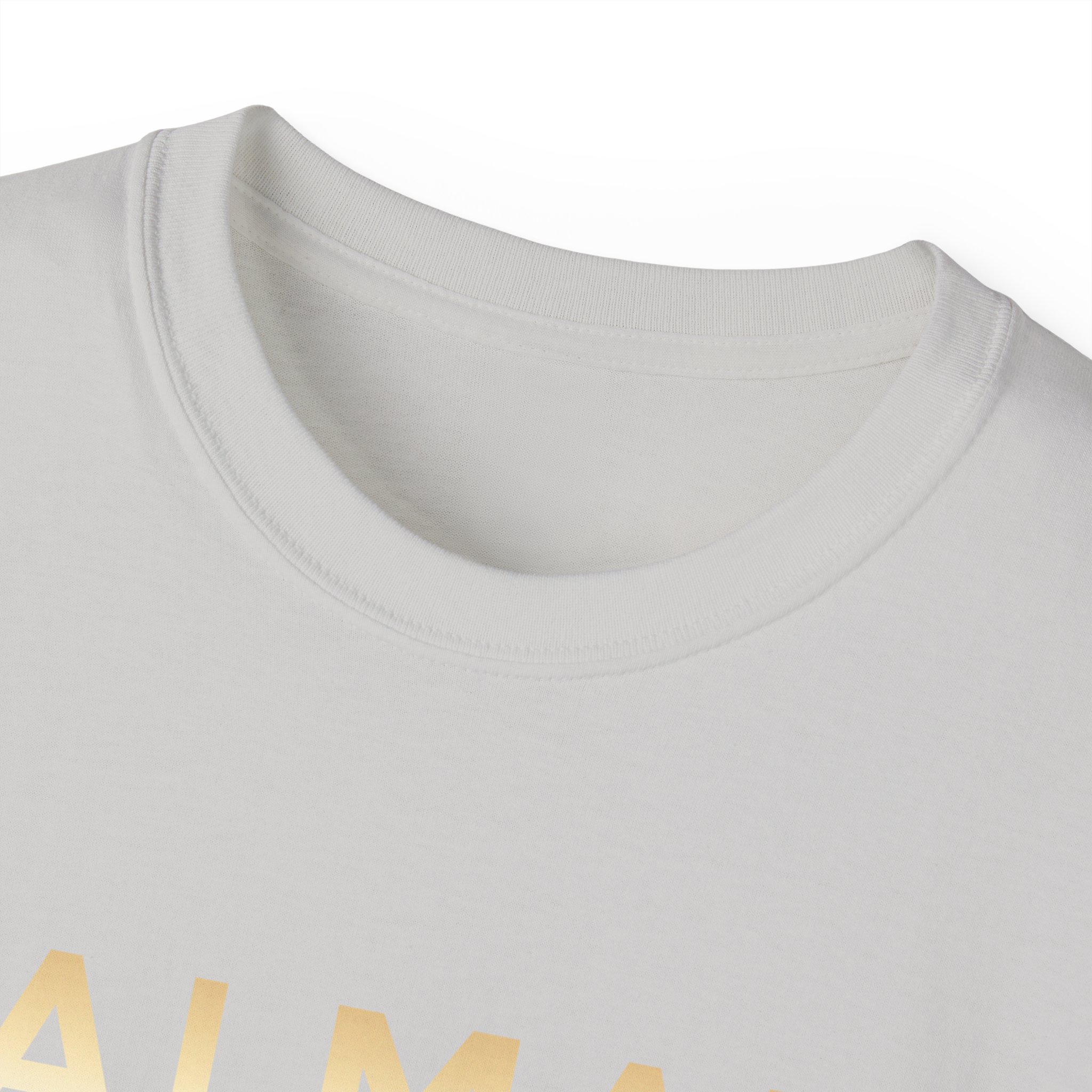 Balmain Paris T-Shirt - Image 15