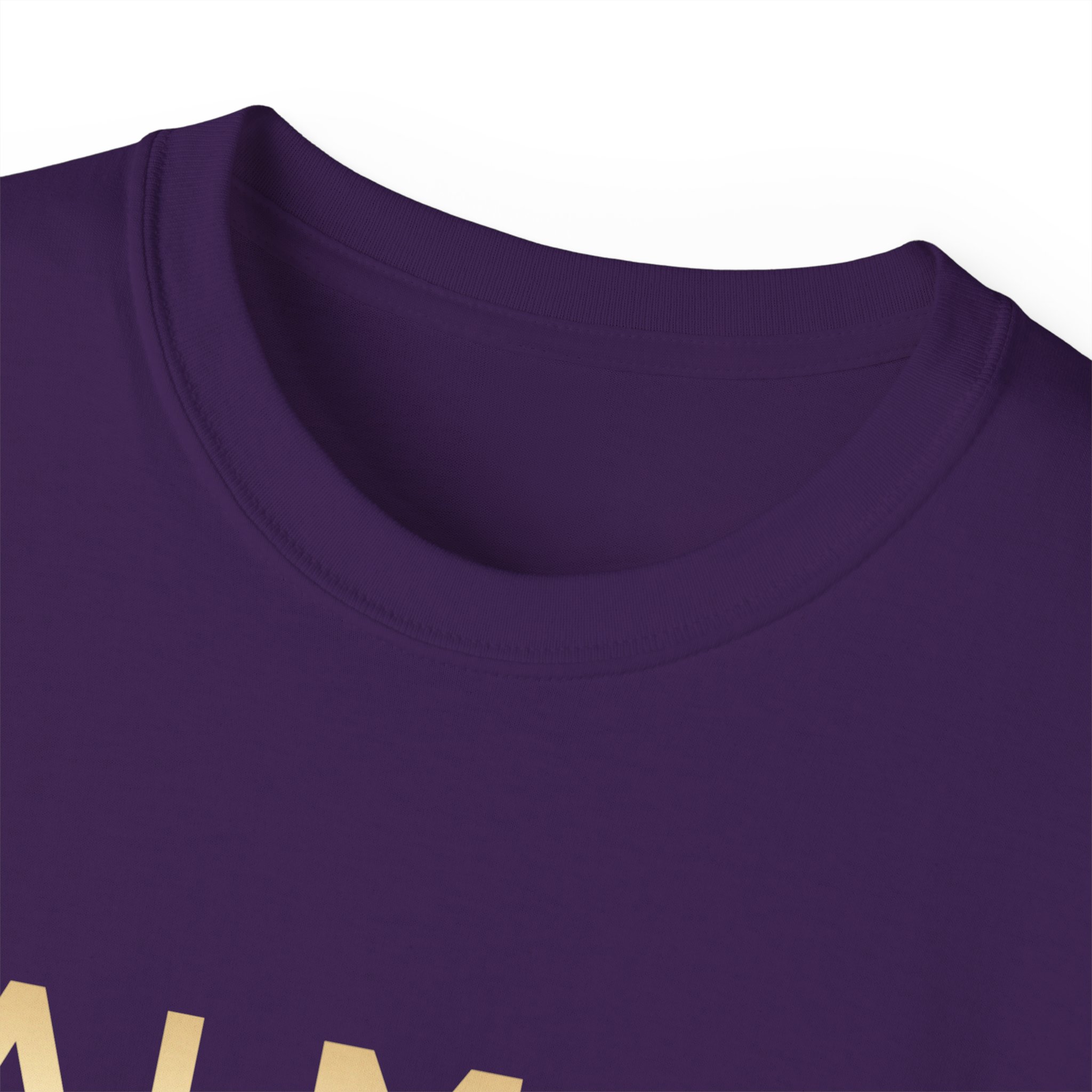 Balmain Paris T-Shirt BIG SIZE - Image 39